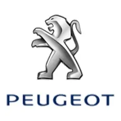 Boitier BSI Peugeot